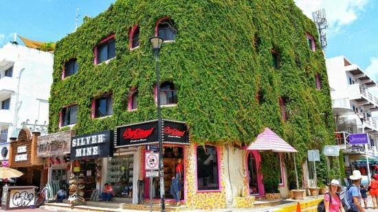Boutique Hotel Delfin 5Th Avenue Playa del Carmen Exterior photo